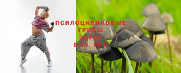 ГАЛЛЮЦИНОГЕННЫЕ ГРИБЫ Абдулино