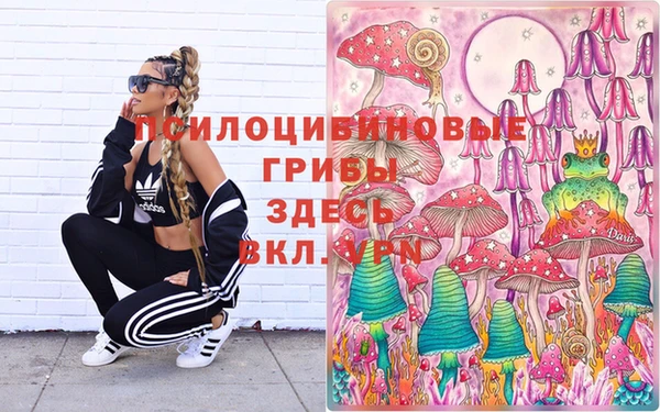 ГАЛЛЮЦИНОГЕННЫЕ ГРИБЫ Абдулино