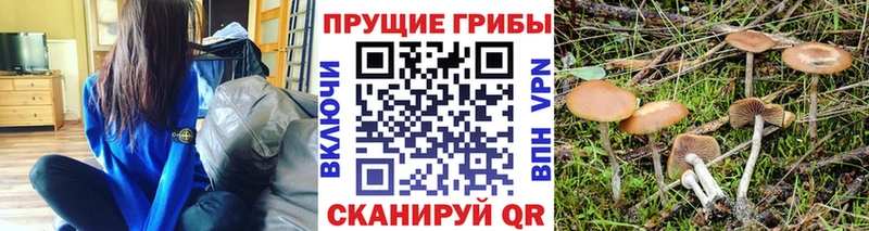 Галлюциногенные грибы MAGIC MUSHROOMS Сухой Лог