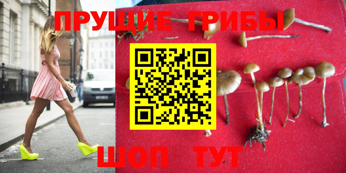 Псилоцибиновые грибы MAGIC MUSHROOMS  Галлюциногенные грибы ЛСД  Вход с VPN  наркотики  Сухой Лог 